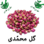 غنچه گل محمدی